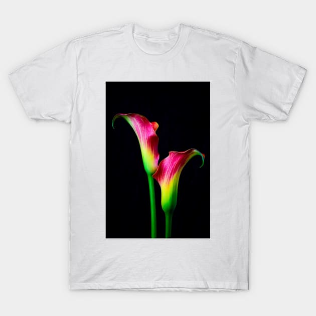 Two Lovely Red Green Calla Lillies T-Shirt by photogarry